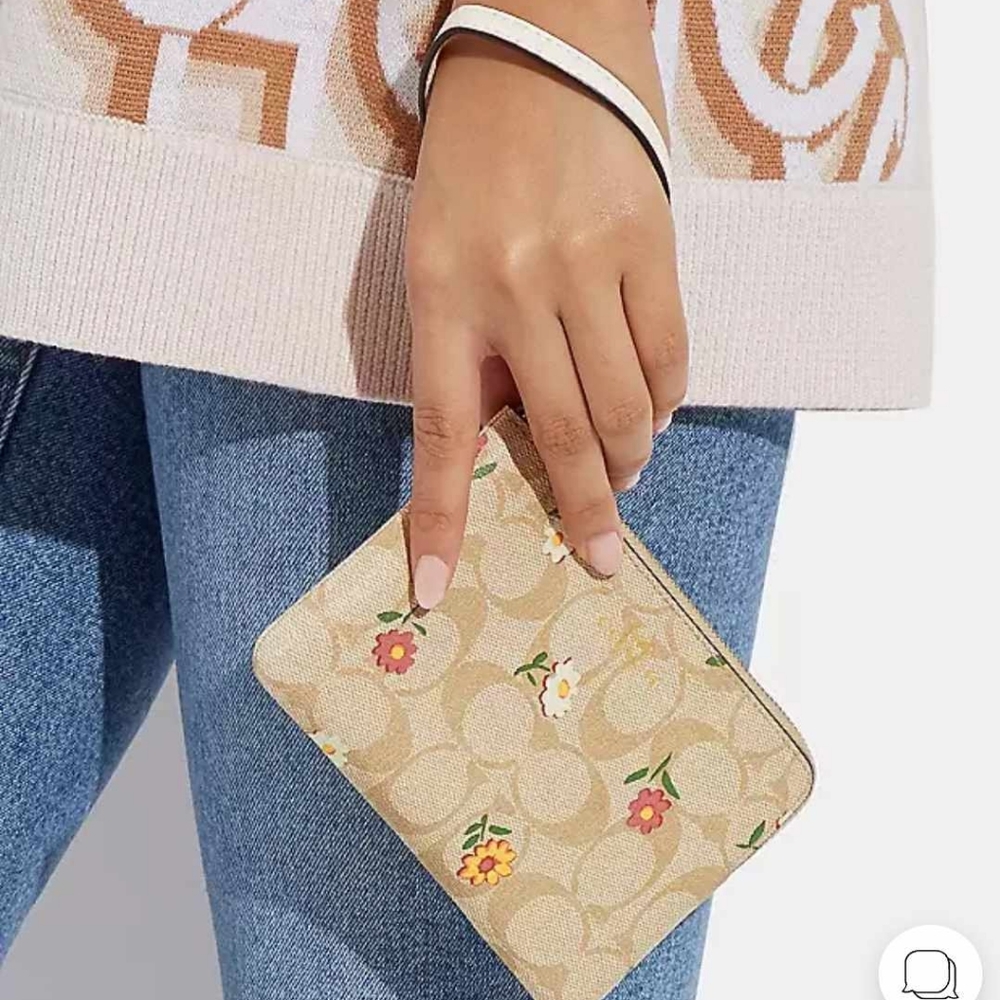 Wistlet Coach